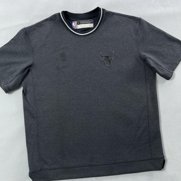 Chicago Bulls Shirt Mens Large Gray NBA Basketball Dri Fit Crewneck Tee Nike - Picture 1 of 13